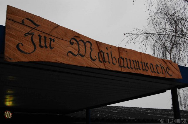 image bk_baumeinholen_ah_8934-jpg