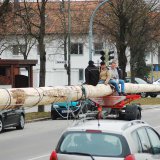 image bk_baumeinholen_ah_9021-jpg