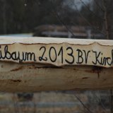 image bk_baumeinholen_ah_9189-jpg