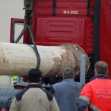 image bk_baumeinholen_ah_9205-jpg