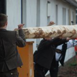image bk_baumeinholen_ah_9235-jpg